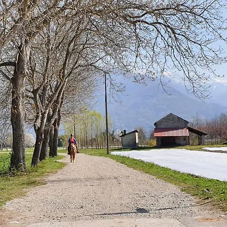 Grappoli Vista Vigneti * Gudo