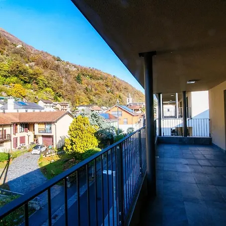 Grappoli Vista Vigneti 구도
